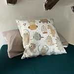 Atico duplex loft Lavapies